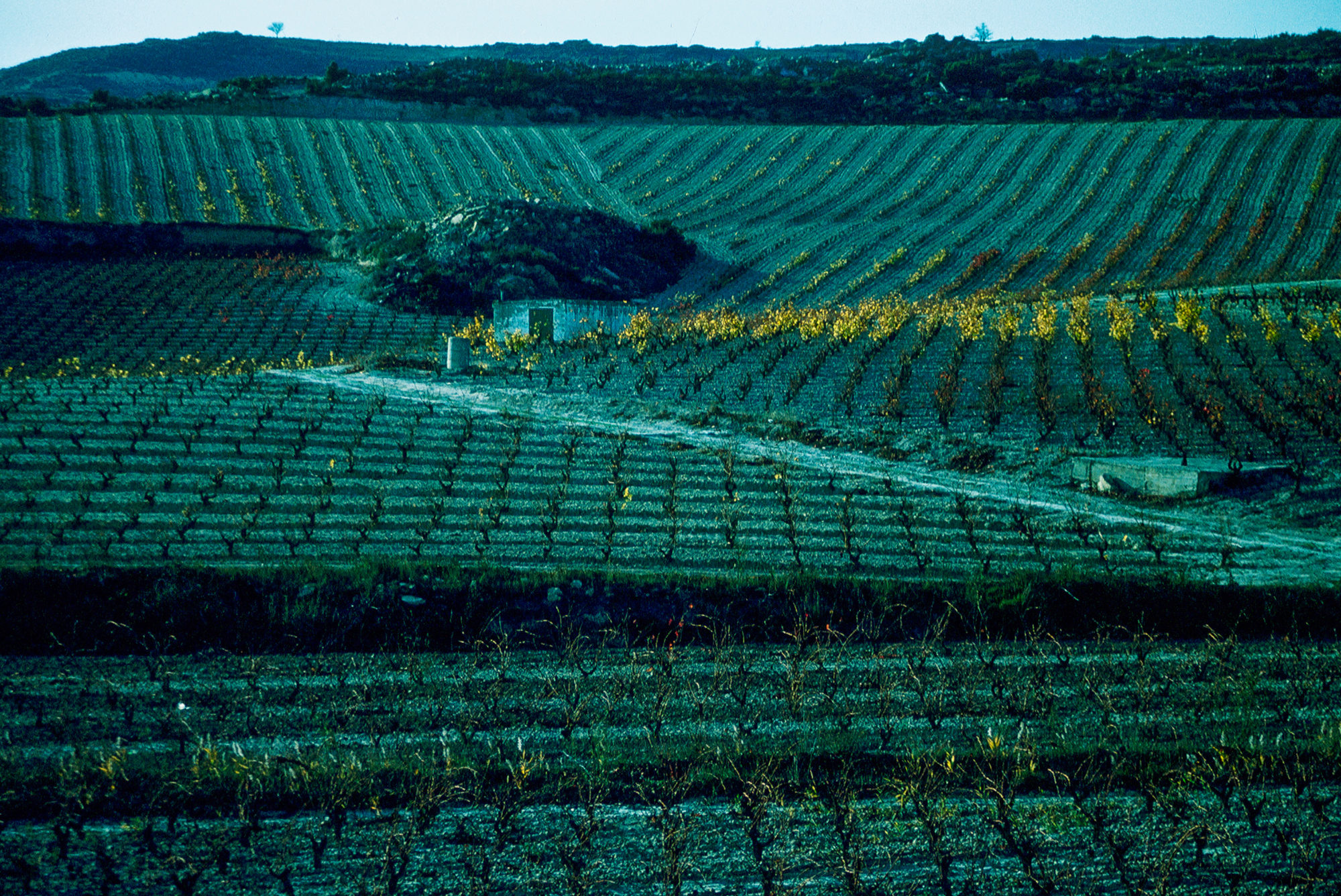 Spanien, Rioja, Weinberge im Herbst