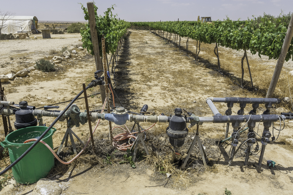 Israel, Negev, Rota Winery, Bewässerung